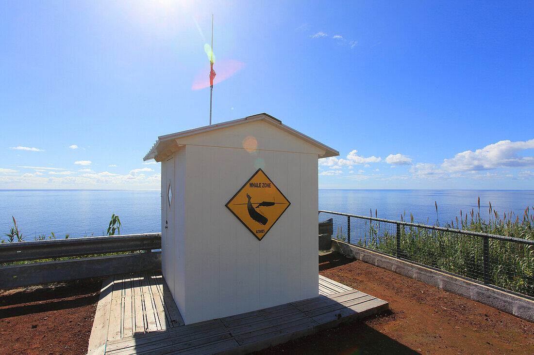 Insel Sao Miguel, Azoren, Portugal. Wale beobachten