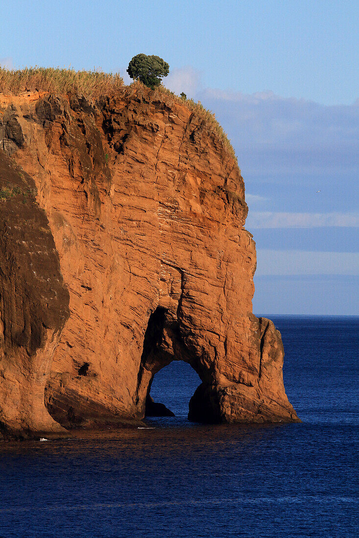 Insel Sao Miguel, Azoren, PortugalMorro das Capelas, Elefantenfelsen