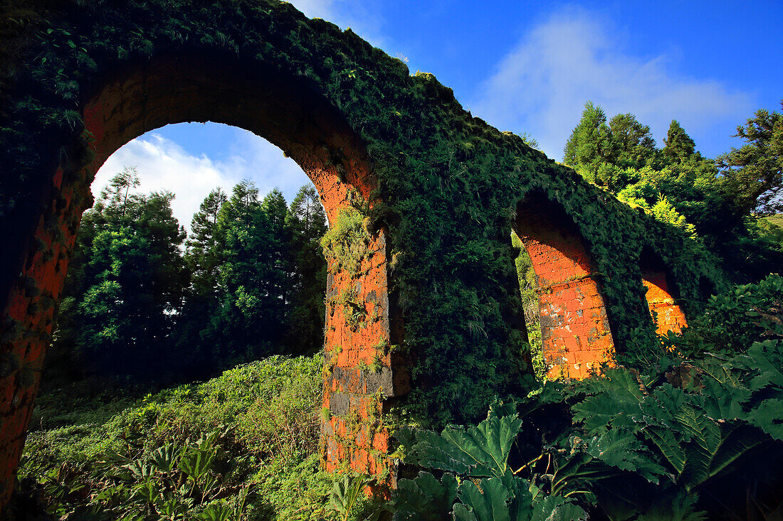 Insel Sao Miguel, Azoren, Portugal. Altes Aquädukt