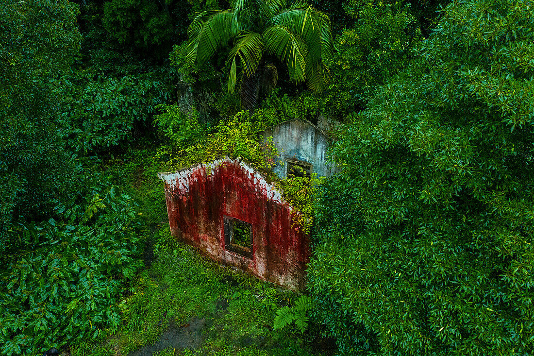 Insel Sao Miguel, Azoren, Portugal