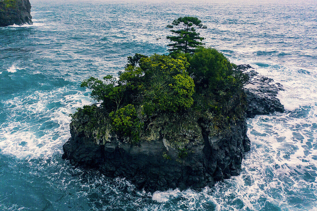 Insel Sao Miguel, Azoren, Portugal. Caloura