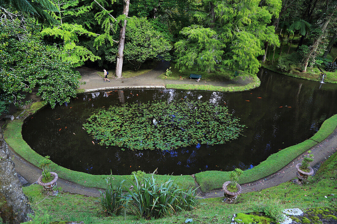 Sao Miguel Insel,Azoren,Portugal. Furnas,Parque Terra Nostra