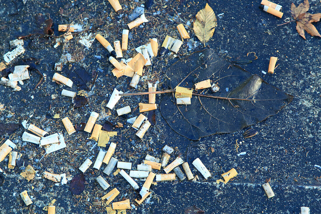 Europe,Belgium,Brussels,butts on the ground