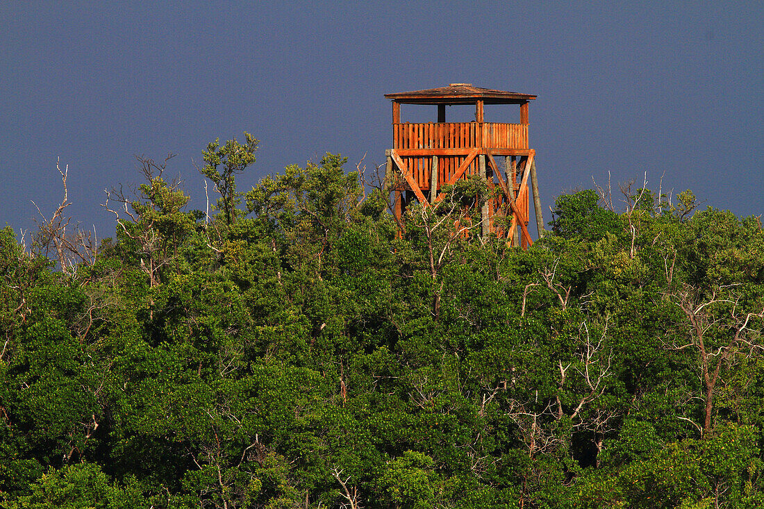 Usa,Florida. Everglades City