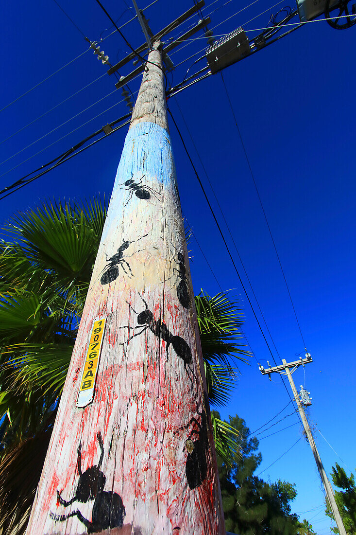 Usa,Florida. Lee County. Matlacha