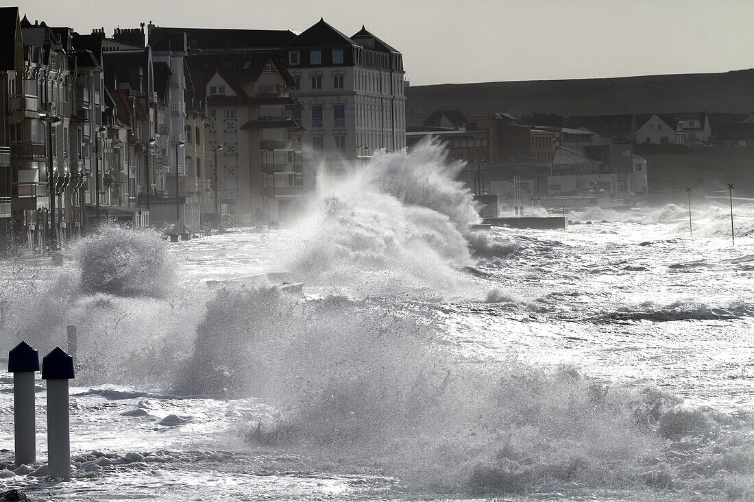 Frankreich,Hauts de France,Pas de Calais,Opal Küste,Ciara Sturm. Wimereux am Meer