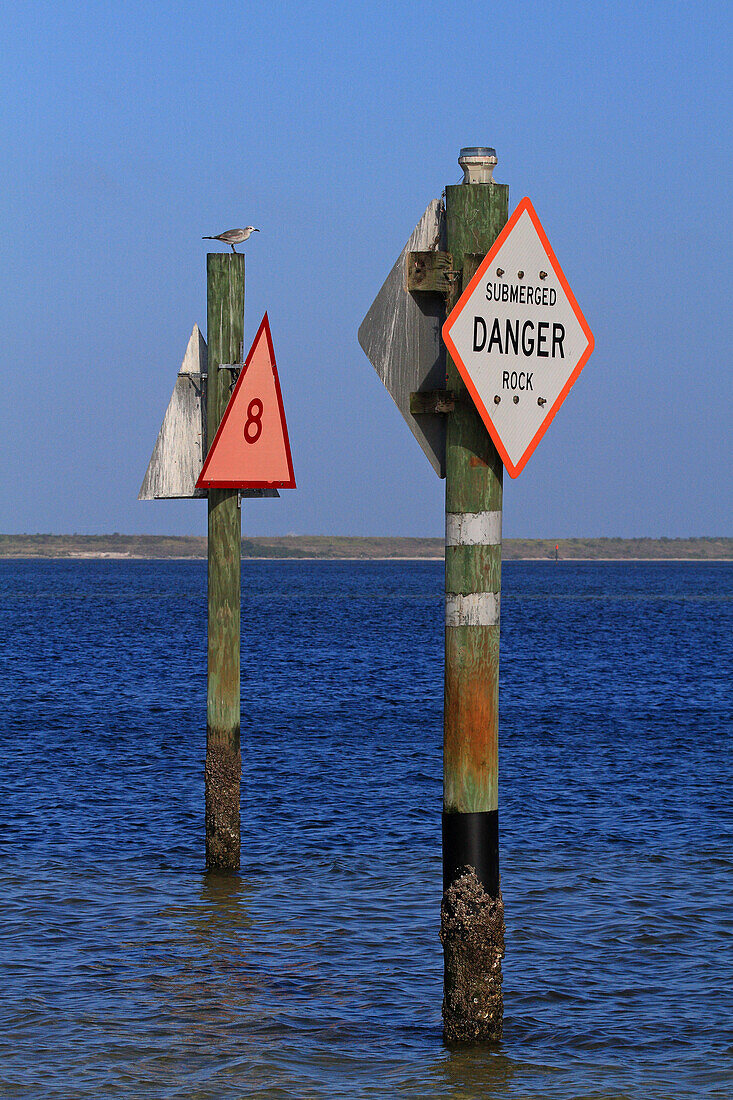 Usa,Florida. Hillsborough County. Apollo beach. Apollo Beach Nature Preserve