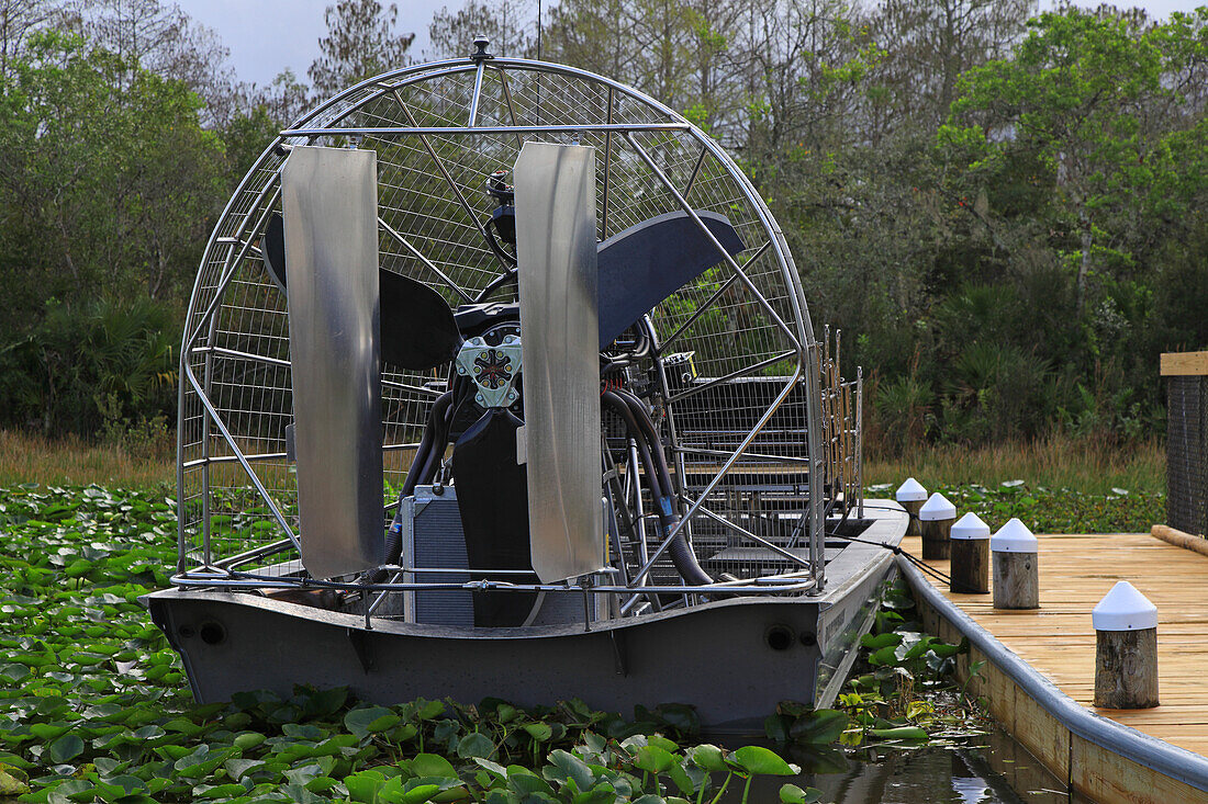 Usa,Florida. Everglades. Airboat. Cypress trees and swamp