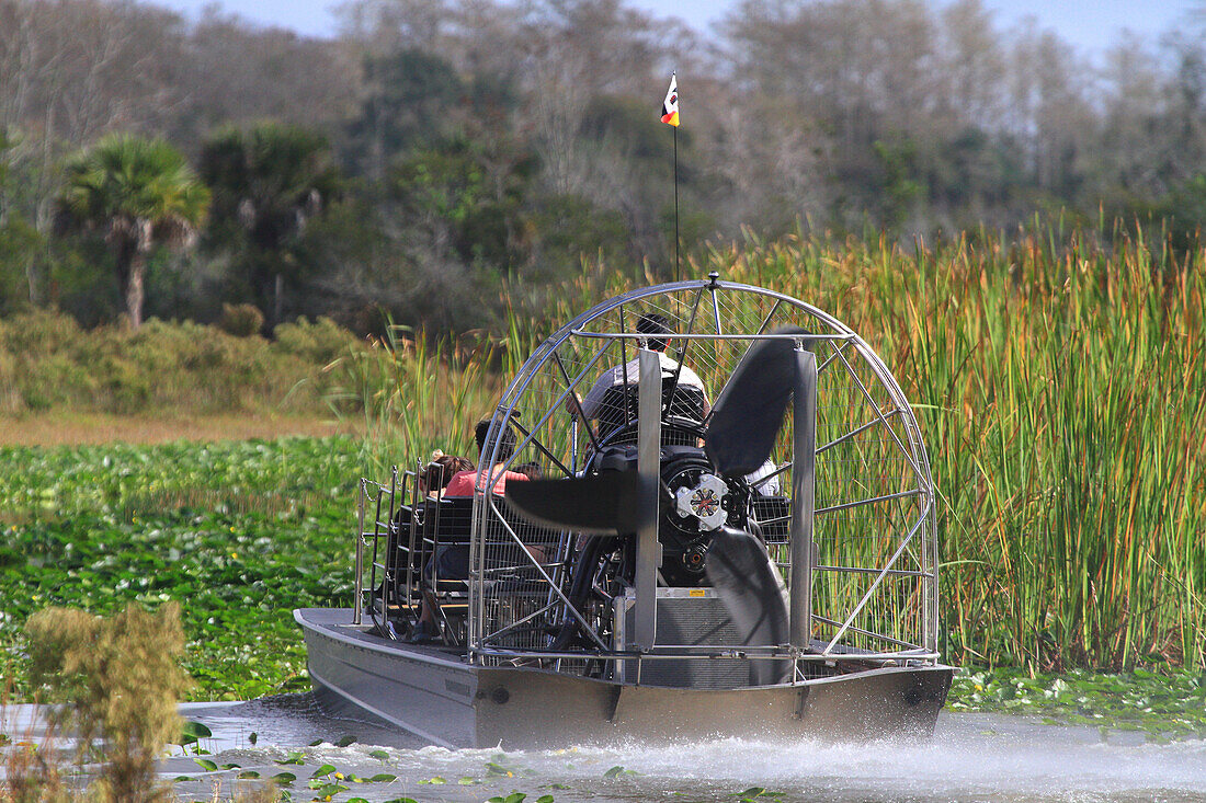 USA, Florida. Everglades. Luftkissenboot. Zypressen und Sumpf