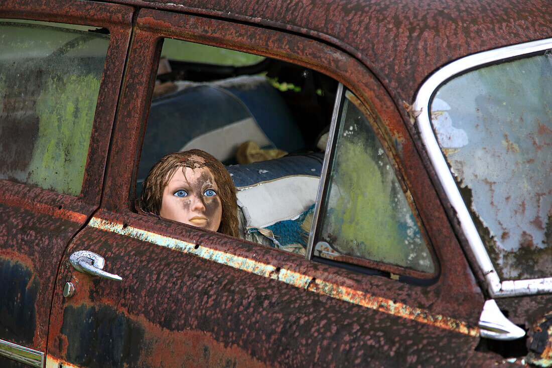 Usa,Florida. Everglades. Schleifenstraße. Puppe in einem rostigen Auto