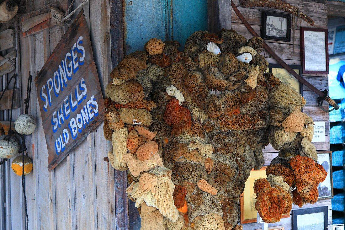 Usa,Florida. Key West. Schaufensterpuppe aus Naturschwämmen