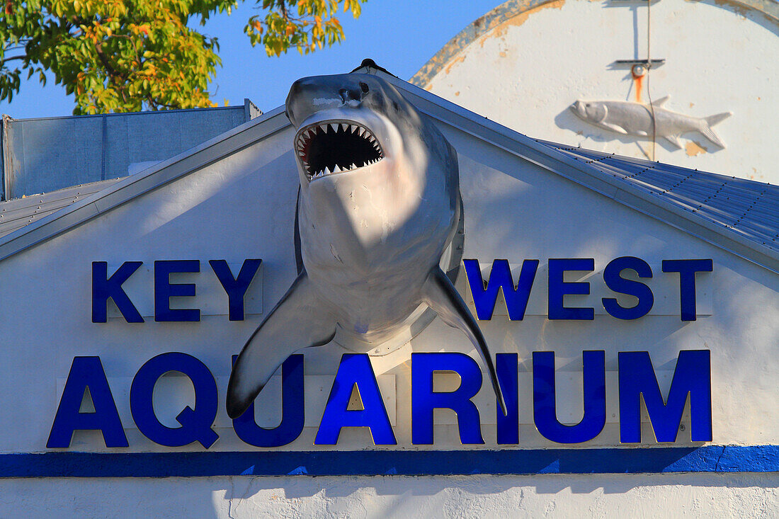 Usa,Florida. Key West. Aquarium