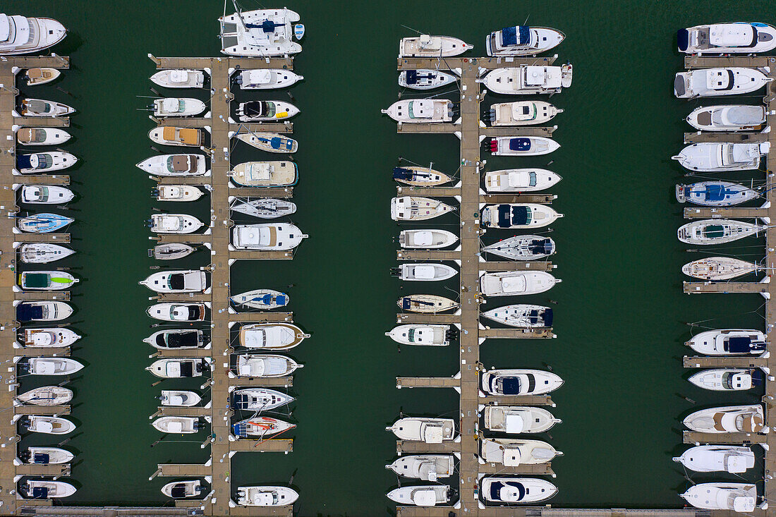 Usa,Florida,Miami. Key Biscayne,Crandon Park Jachthafen. Biscayne Bay