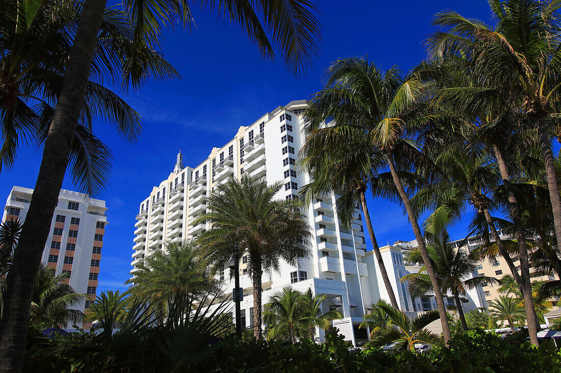 Usa,Florida,Miami. Miami Beach. Miami Beach,South Beach,Collins avenue,Loews Hotel