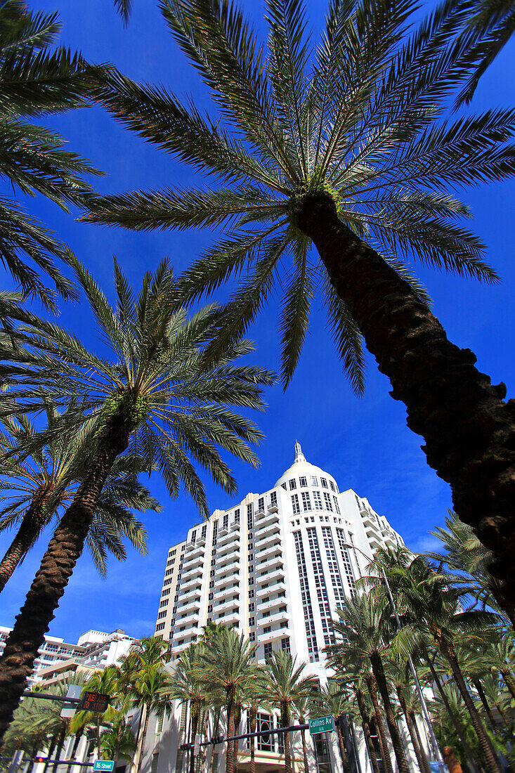 Usa,Florida,Miami. Miami Strand. Miami Beach,South Beach,Collins avenue,Loews Hotel