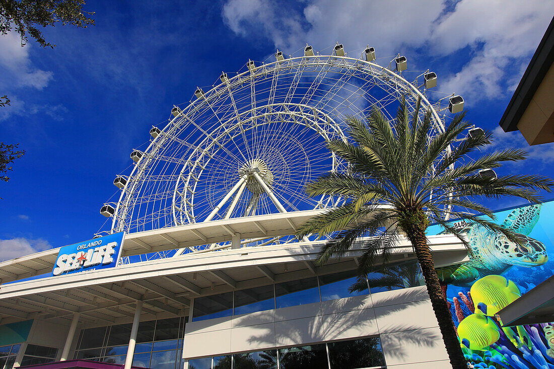 Usa,Floride,Orlando. Riesenrad. Icon Park