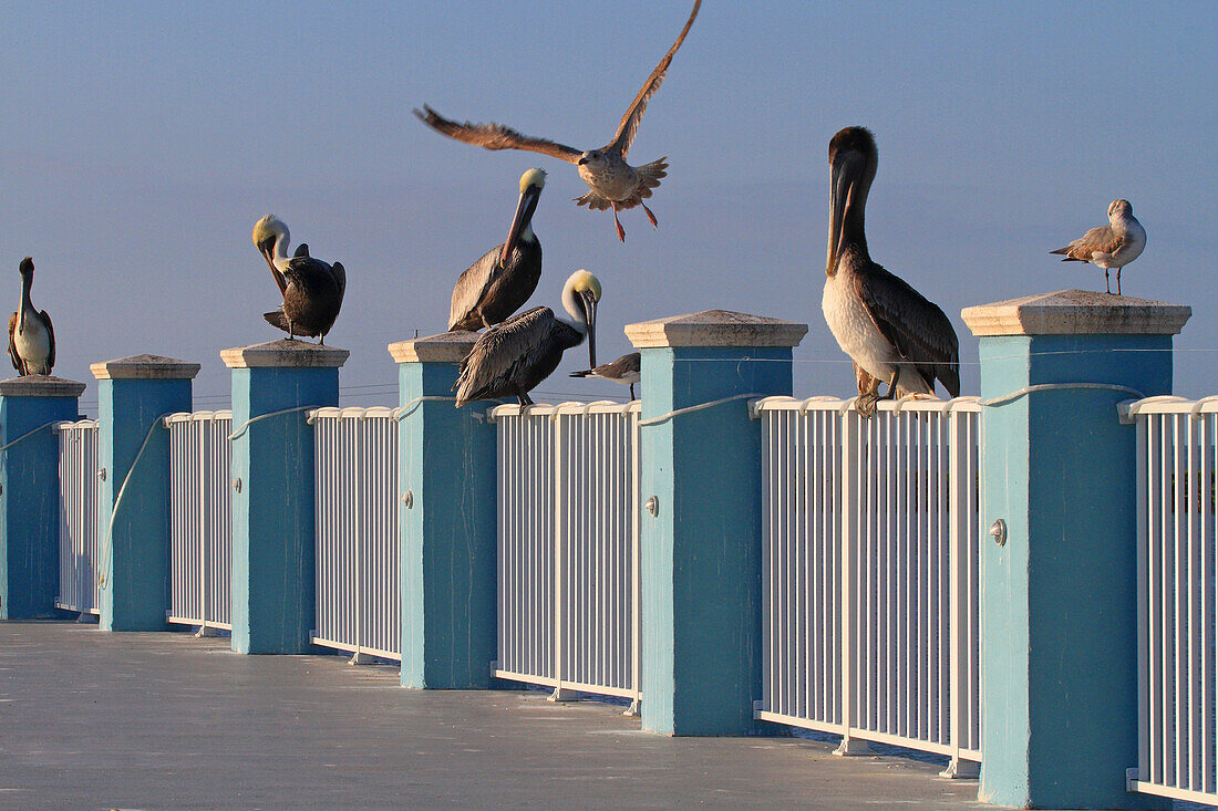 USA,Florida,Keys