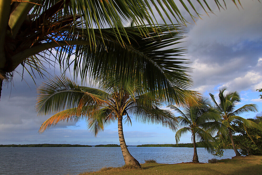 Frankreich,Französische Antillen,Guadeloupe. Morne a l'eau. Babin-Bucht