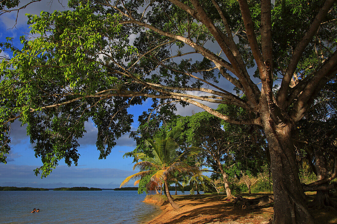 Frankreich,Französische Antillen,Guadeloupe. Morne a l'eau. Babin-Bucht