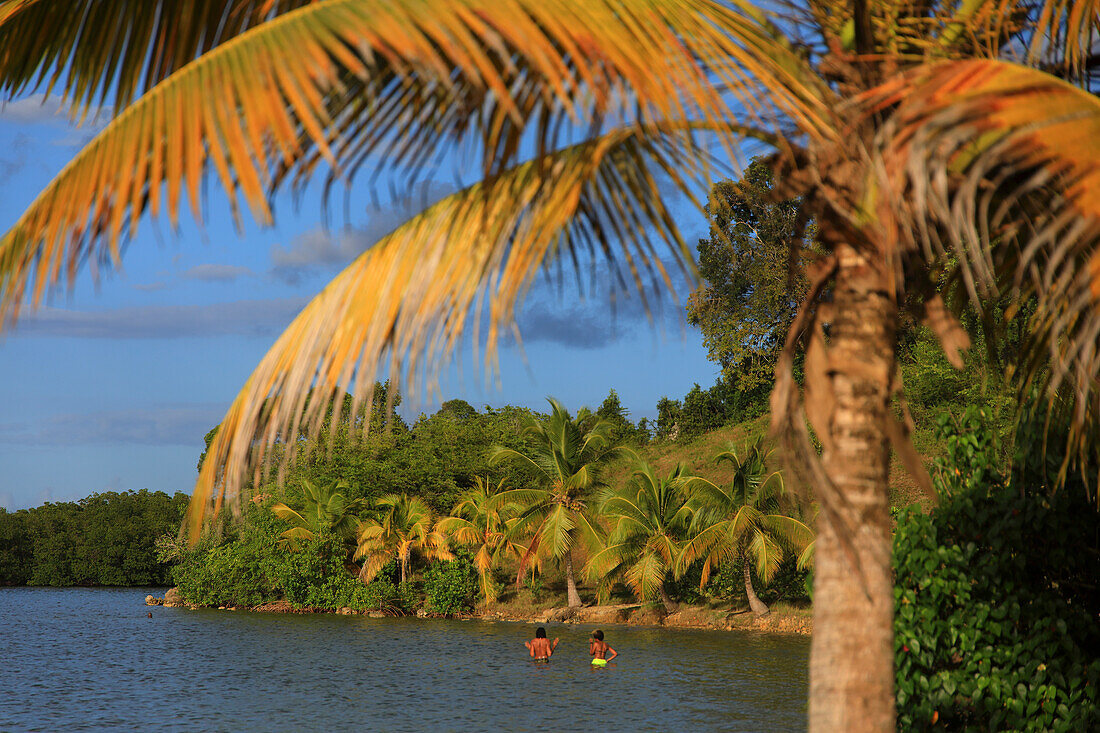 France,French Antilles,Guadeloupe. Morne a l'eau. Babin bay