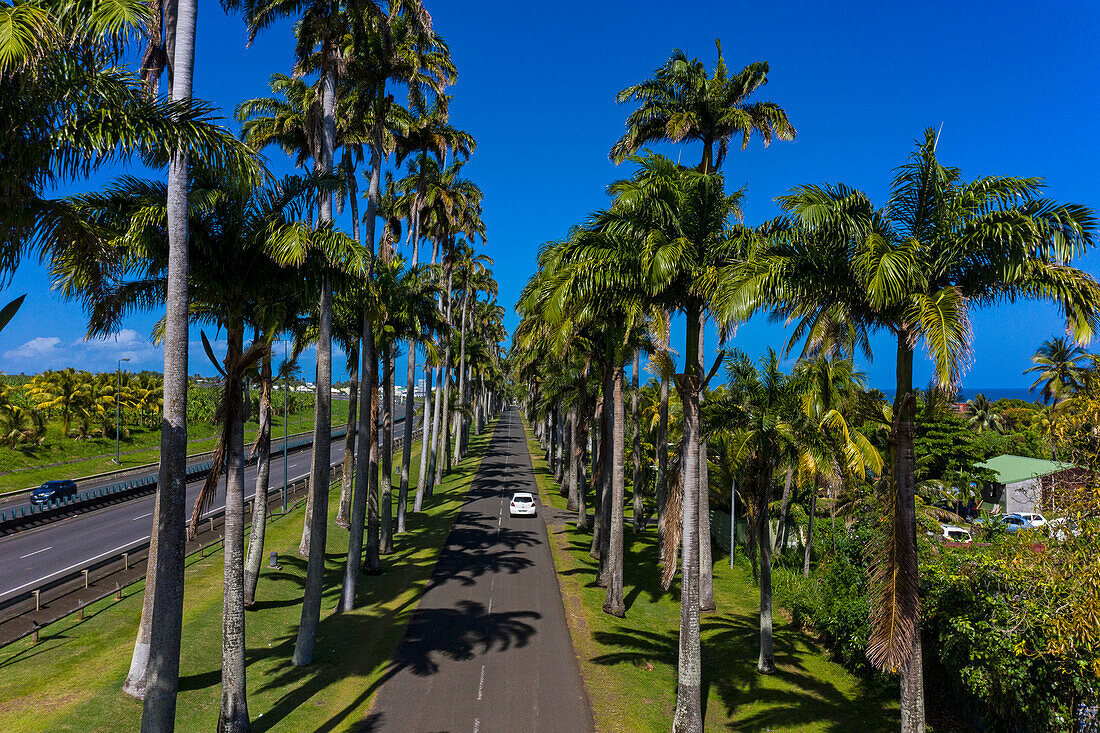 France,French Antilles,Guadeloupe. Dumanoir alley