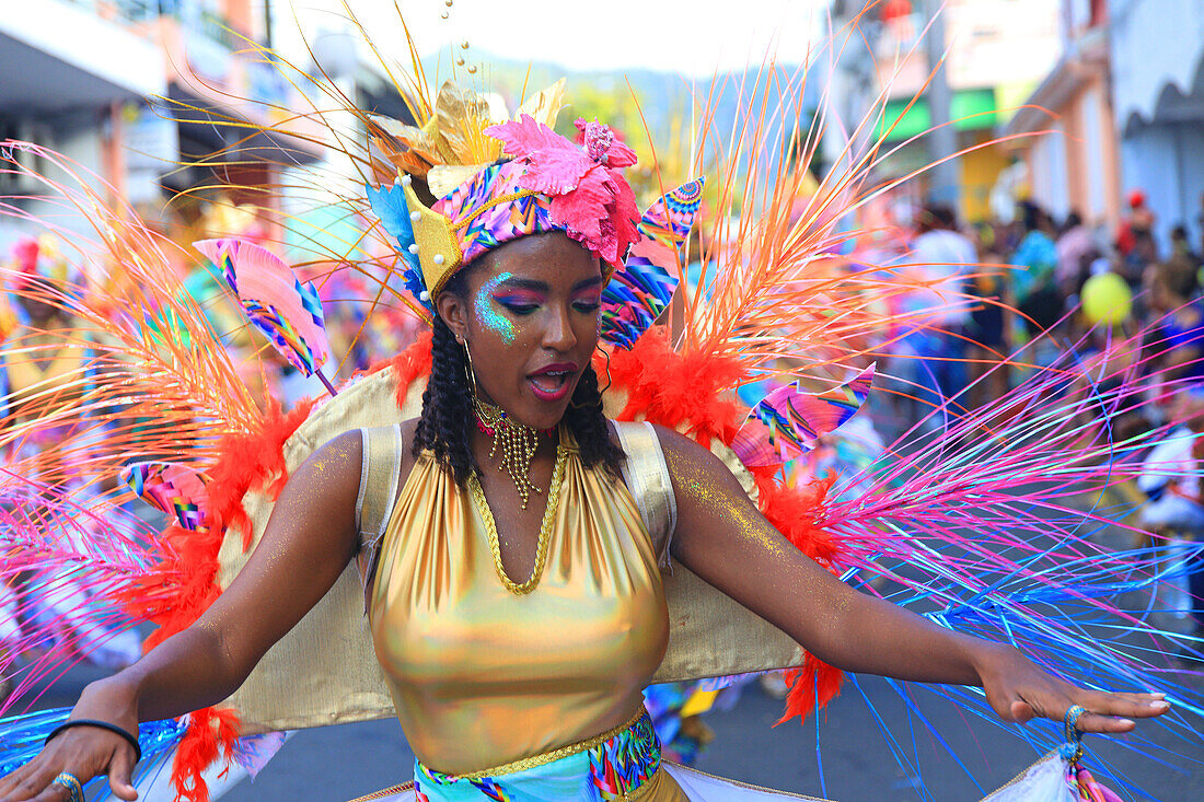 France,Guadeloupe,Basse-Terre,carnaval