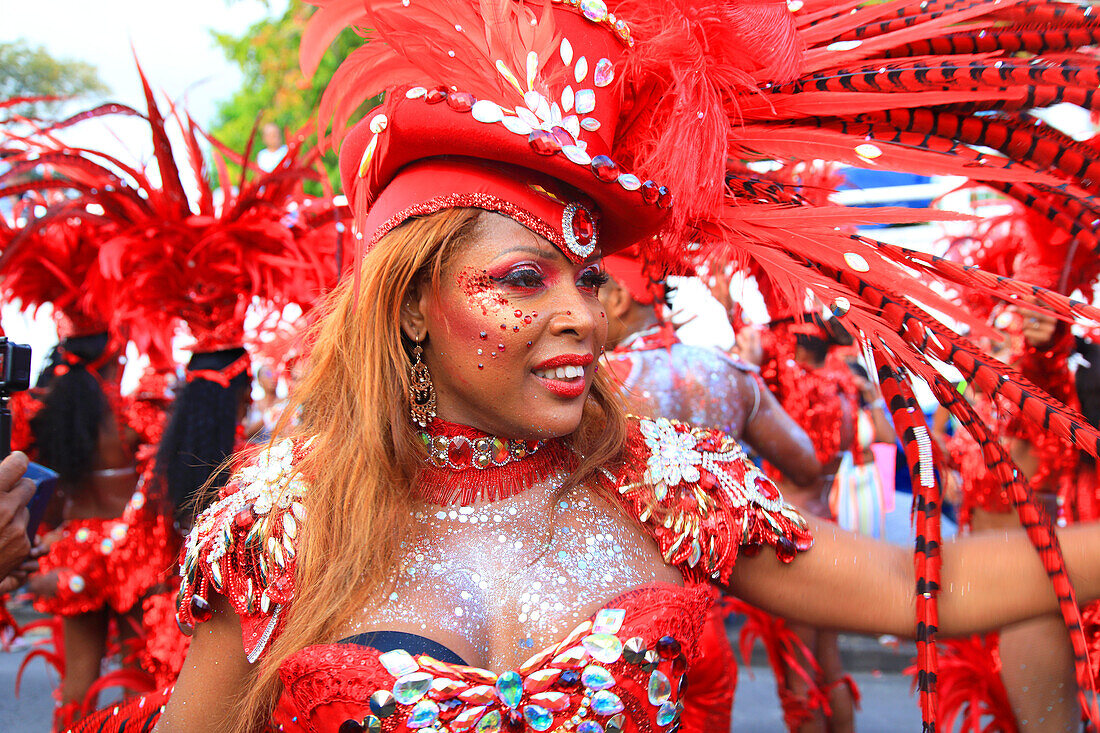 France,Guadeloupe,Basse-Terre,carnaval