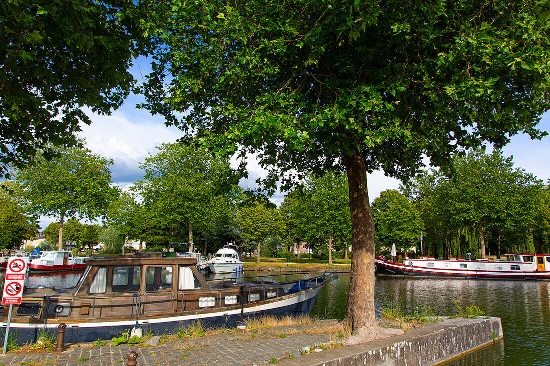 France,Hauts de France,Nord,Cambrai