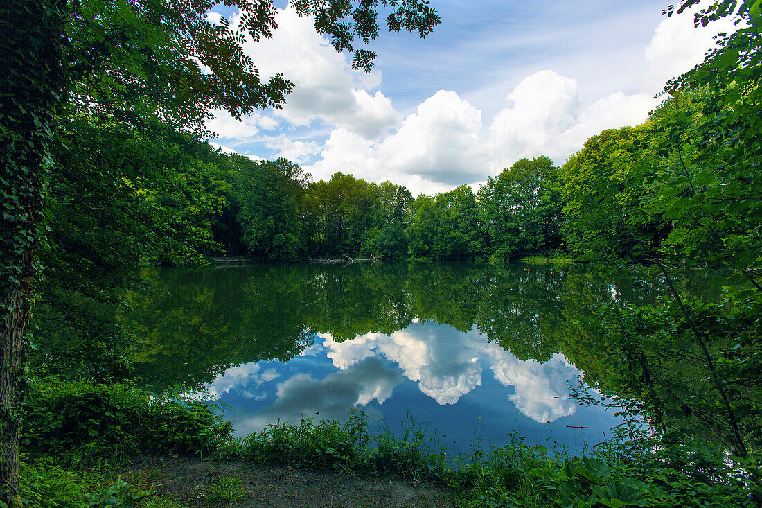 Frankreich,Hauts de France,Pas de Calais,Oignies