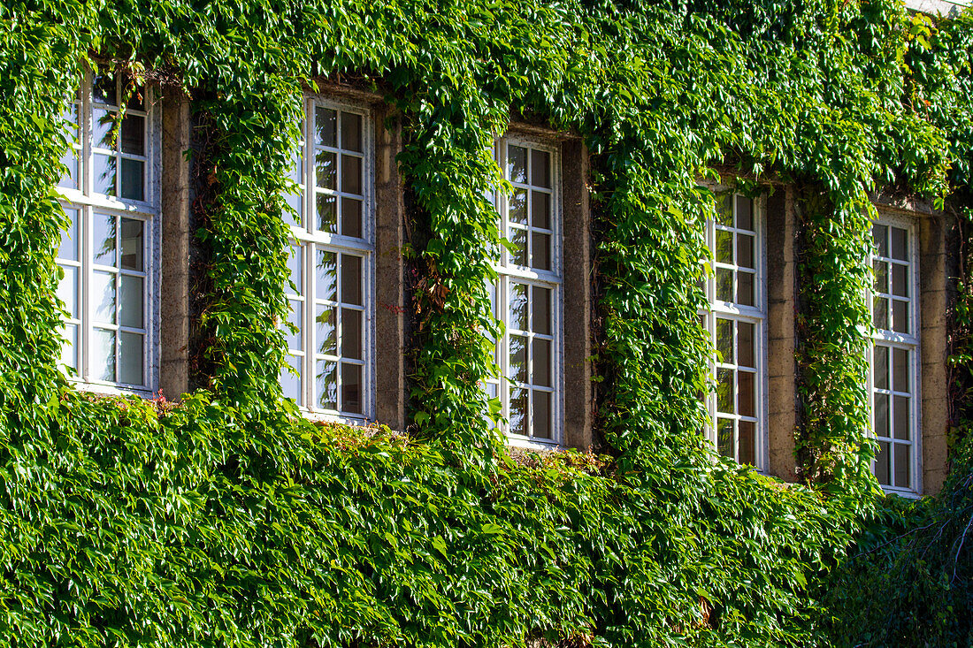 Europa,Belgien,Mons. Haus