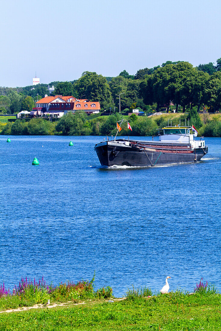 Europa,Niederländisch. Provinz Limburg. Venlo. Fluss Maas