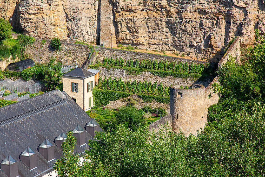 Europe,Luxembourg,Luxembourg City