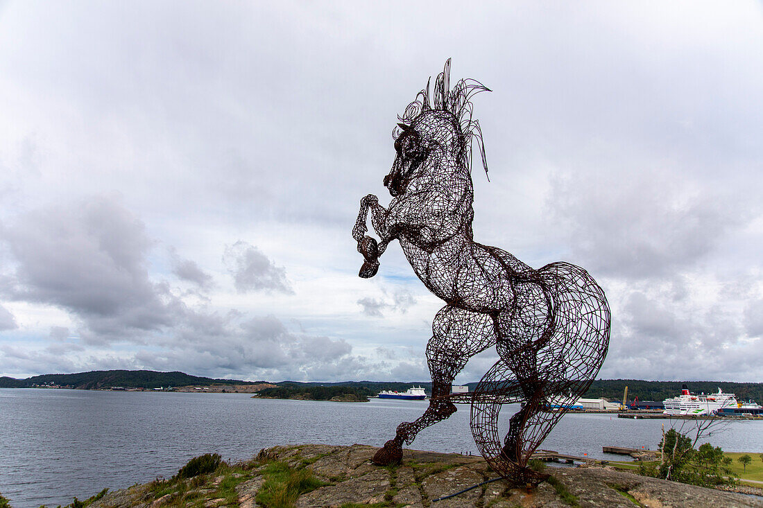 Europe,Scandinavia,Sweden. Syrian Horse by Mohannad Solaiman a,Uddevella