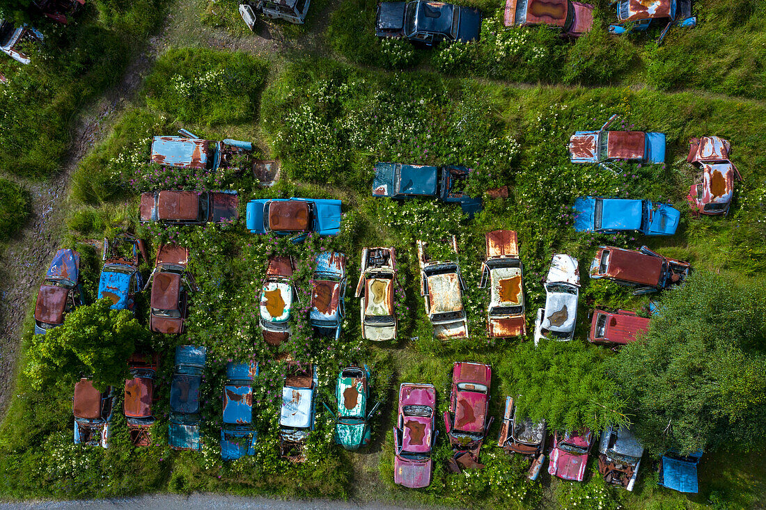 Europa,Skandinavien,Schweden. Autofriedhof