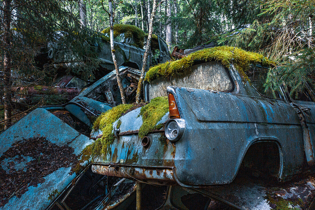 Europe,Scandinavia,Sweden. car cemetery