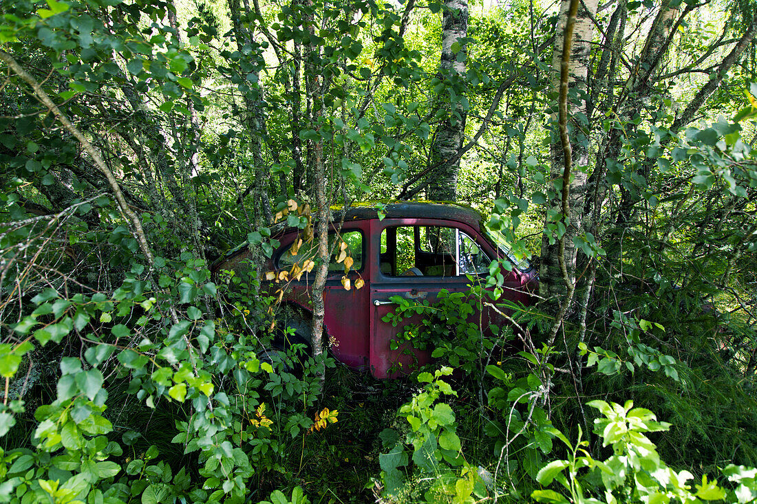 Europa,Skandinavien,Schweden. Autofriedhof