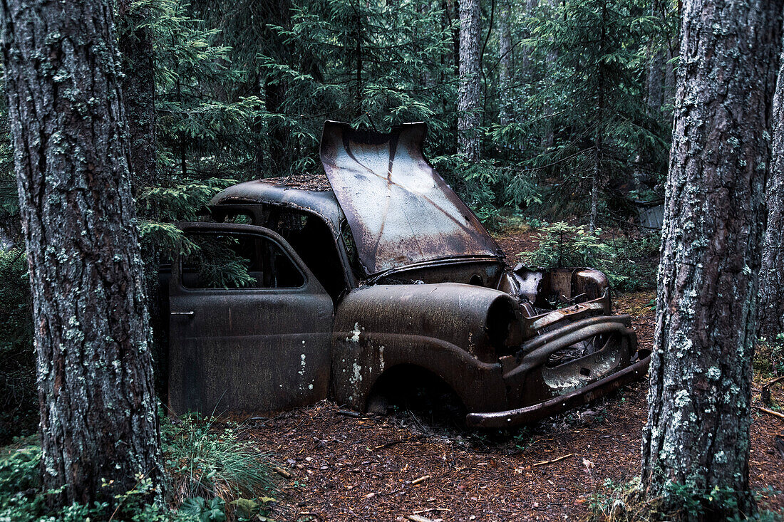 Europa,Skandinavien,Schweden. Autofriedhof