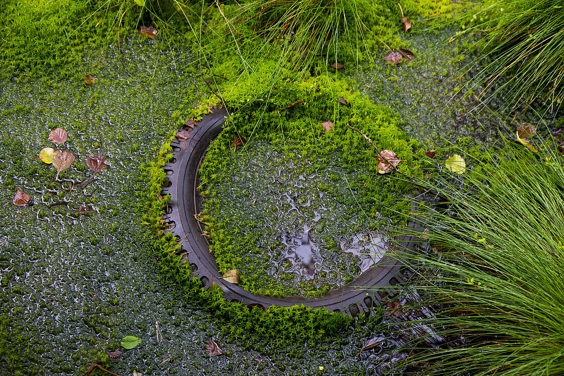 Europe,Scandinavia,Sweden,tire in nature