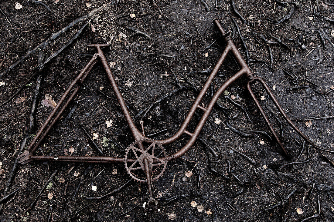 Europe,Scandinavia,Sweden,rusty bicycle frame