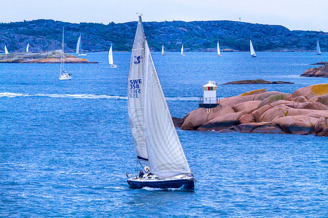 Europa,Skandinavien,Schweden. Lysekil. Stangehuvud