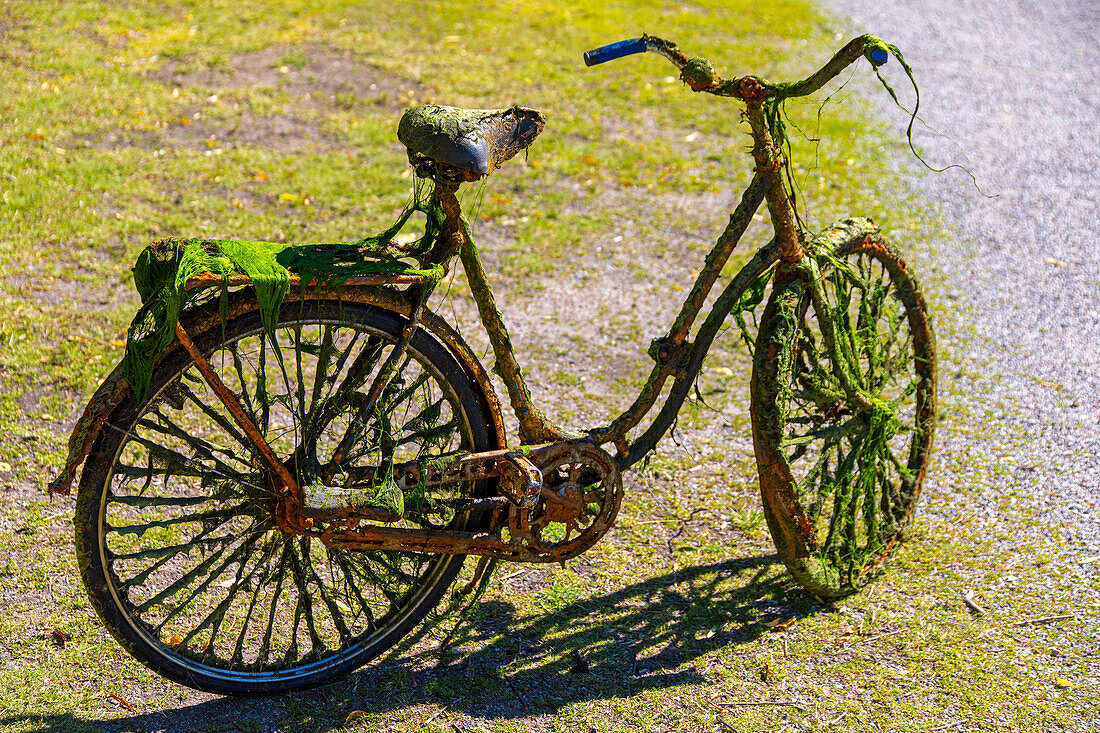 Fahrrad, das im Wasser gestanden hat, rostig und voller Algen