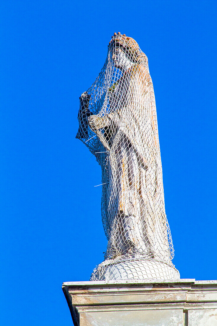 Statue protected by a net