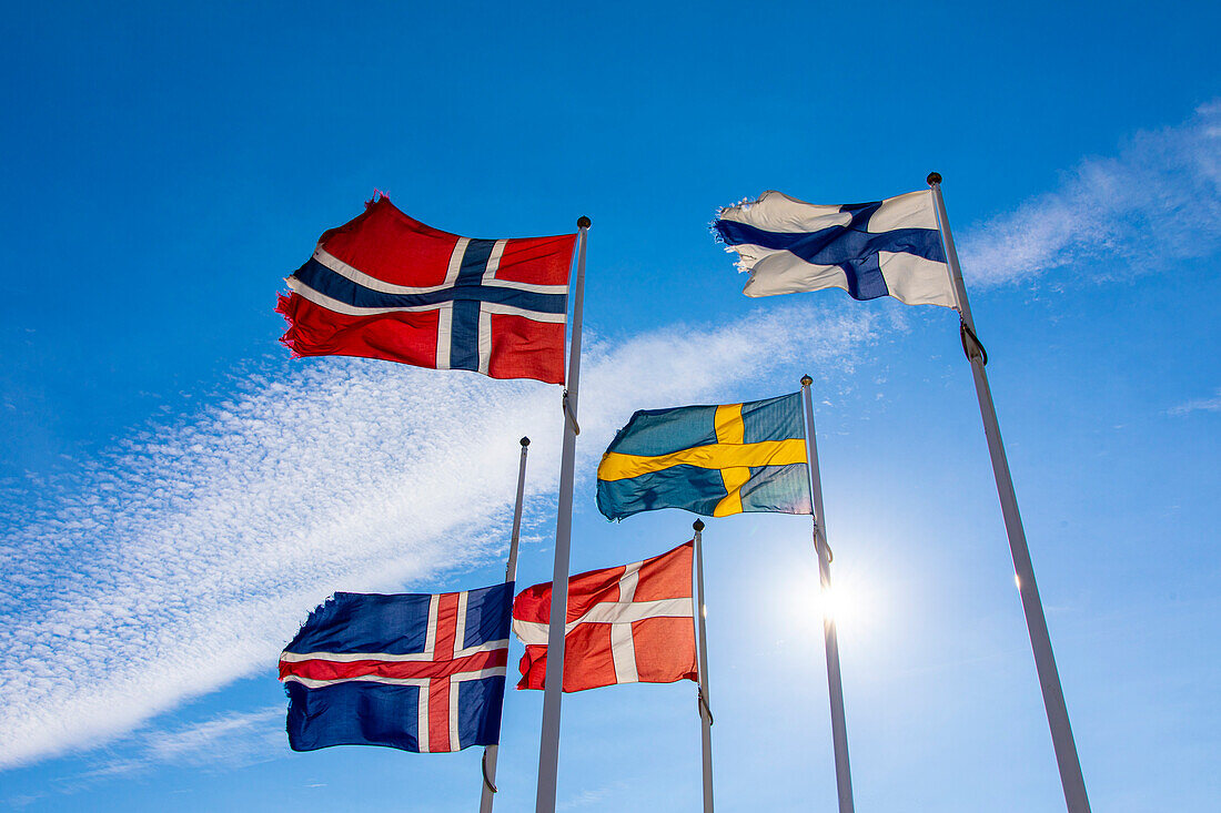 Flags of the countries of Scandinavia: Sweden,Denmark,Norway,Iceland and Finland