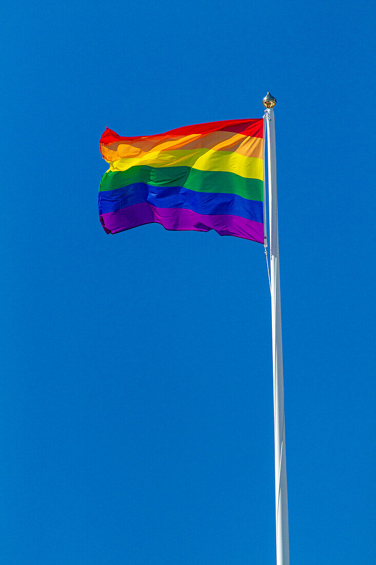 LGBT Rainbow Flag