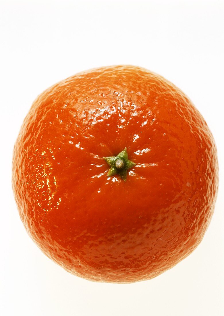 Eine Mandarine (Satsuma)