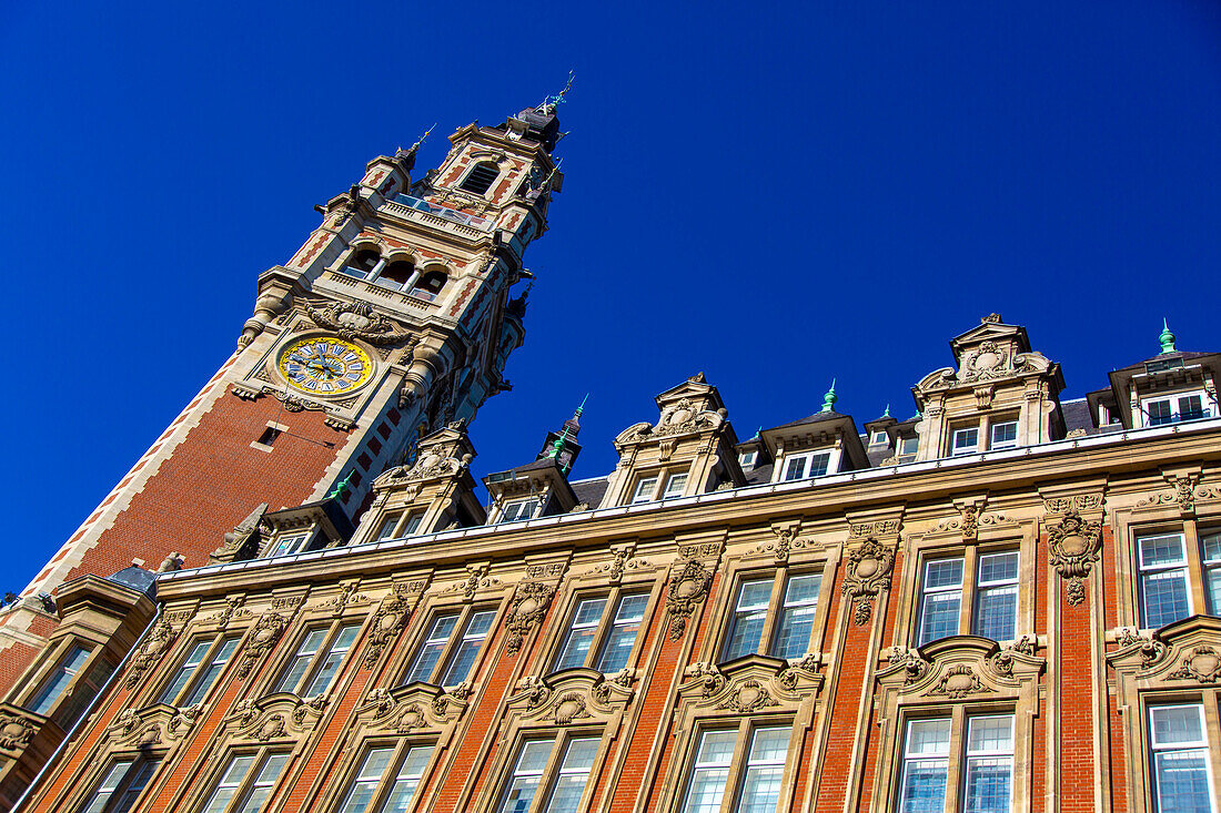 Frankreich,Hauts de France,Lille