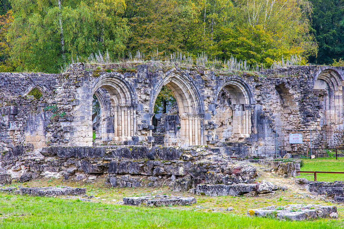 France,Hauts de France,Aisne,Chemin des Dames. Bouconville-Vauclair, Vauclair Abbey