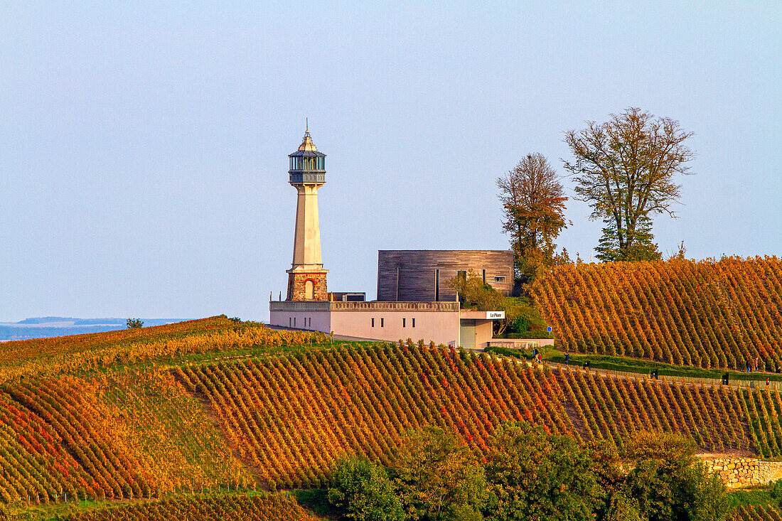 France,Grand-Est,Marne,Verzenay. Verzenay lighthouse. Reims montain