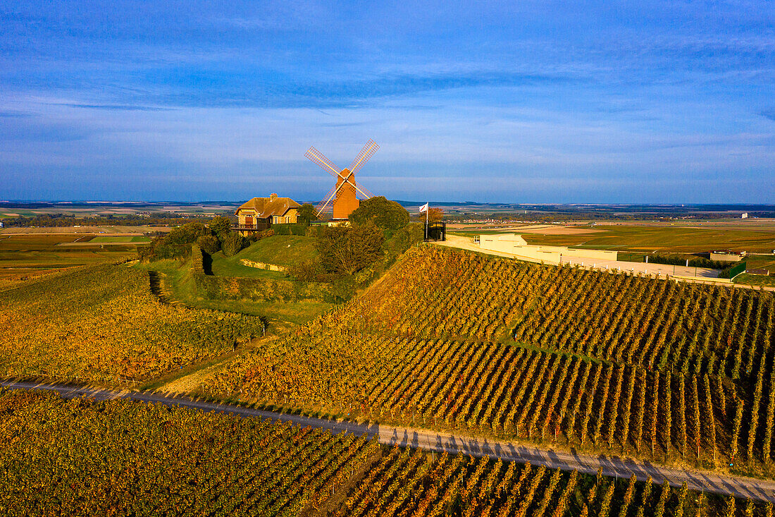 France,Grand-Est,Marne,VerzenayMont-Bœuf. Verzenay windmill. Mumm Champagne. Reims montain