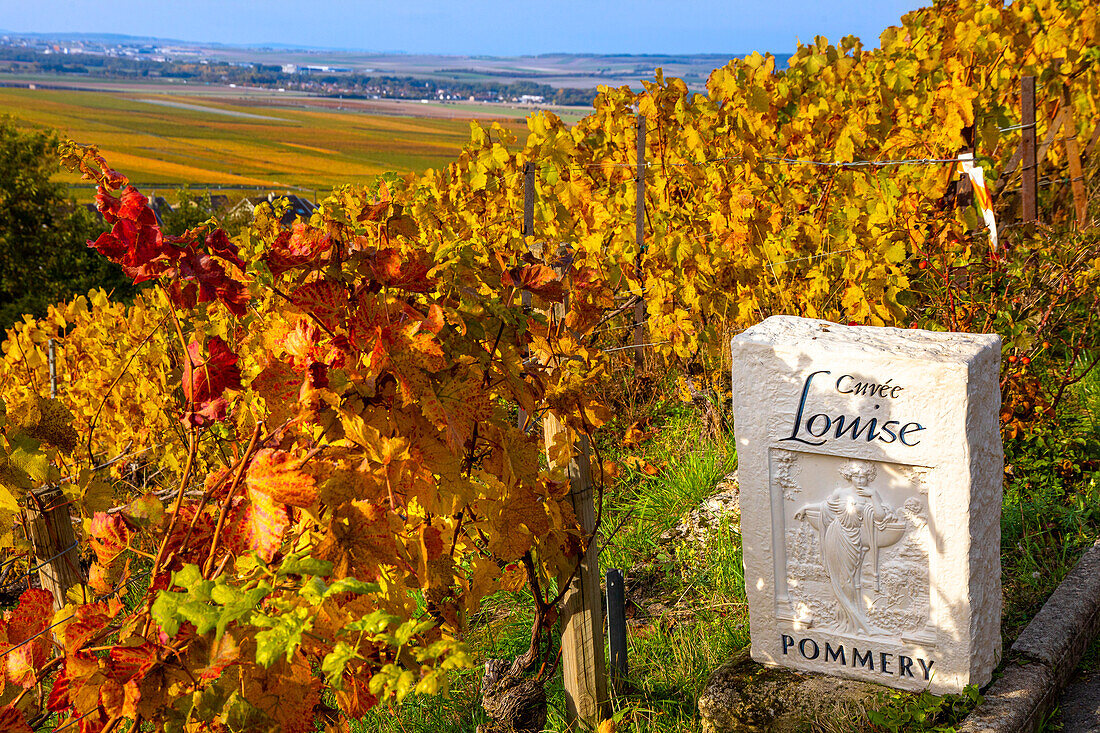 Frankreich, Grand-Est, Marne, Verzenay. Pommery. Reims montain